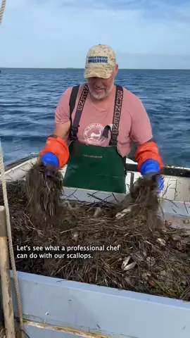 What can a professional chef make with fresh vineyard bay scallops? #fishing #boston #food 