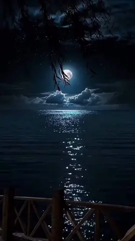 The moon is shining brightly in the night sky, reflecting off the calm waters below. & U #moon #night #ocean #water #sky #stars #nature #beautiful #peaceful #serene #photography #photooftheday #instagood #instadaily #amazing #nofilter #naturephotography #nightphotography #moonlight #reflection #landscape #dark #dreamy #travel #adventure 