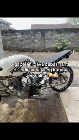 ampun🤭#tigerpukulrata #tigerarsanta 