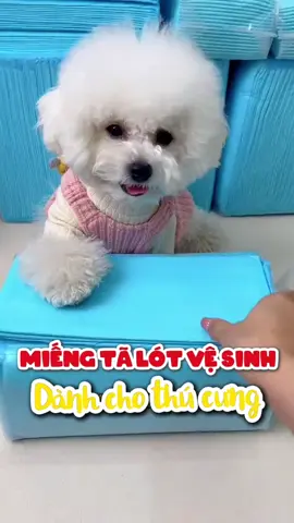 Miếng lót vệ sinh cho chó #cute #cutedog #puppy #puppydog #doglover #animals #fyp #pet #dog #abcxyz #xyzabc 