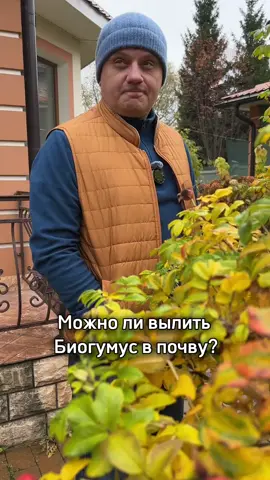 Биогумус в почву #дачныйагроном #осень #грядки #садиогород #назаметку 