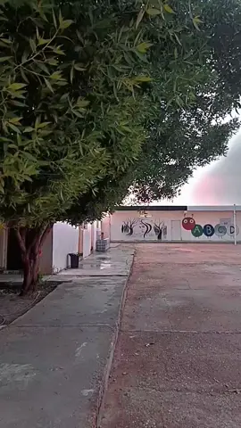 #اللهم_صلي_على_نبينا_محمد #دليم_وعز_دليم #المرعاوي🦅 #تاجي #😥😥😥 #💔 #ستخدام_الصوت #مدرسة #ذكريات 