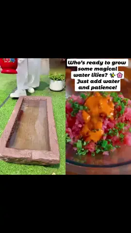 Who’s ready to grow some magical water lilies? ✨🌸 Just add water and patience! #gardenaddict #homeplants #tiktokshop #tiktokshopblackfriday #tiktokshopcybermonday #spotlightfinds 