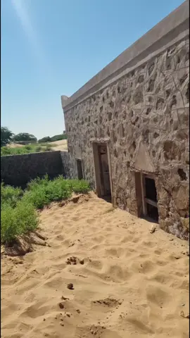 يوم دخلت البيت شفت انا العجب