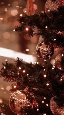 Feliz Navidad ✨️🕊😇#trend #natal2024 #feliznavidad #christmassong #liriklagu #lagurohani #rohanikristen #kristenprotestan #fyp #viral #CapCut 