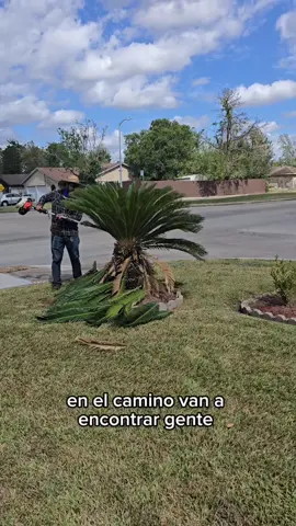 Siempre con la meta bien clara#yardwork #yarderosperrones #yarderos #landscaping #landscaper #jardinero #motivation #CapCut 