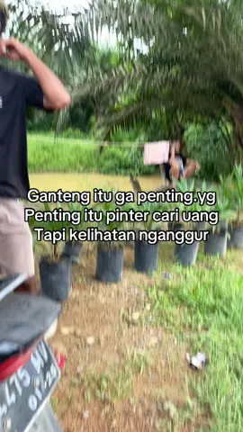 #fyp #fypシ゚viral #katakata @Trek 06 