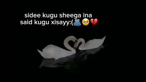 💔😭#followers #foryoupage #writer #fyp 