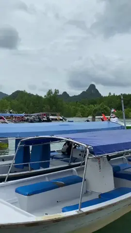 Vibrant Locales: Mangrove Tours 🌱🌊 Discover the natural beauty of Langkawi!  Spoiler alert: only the lucky ones will discover the final one! 😉 #PARKROYALLangkawiResort #SimplyYours #VibrantLocales #MangroveTour #Langkawi #Malaysia #Mangrove