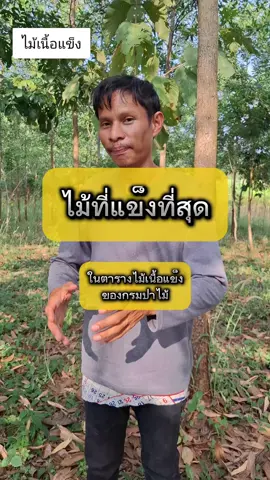 ใครรู้พิมพ์มาเลยครับ เลือกยากมาก😅#ไม้เนื้อแข็ง #ทิดวัลทันเกษตร #ชิงชัน #พะยูง #บุนนาค #เคี่ยม 