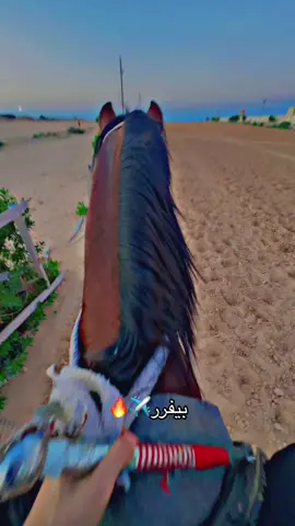 ربي يبارك🔥🪬#خيل_وخياله🐎 #جنزورالسلام🕊 #طرابلس_بنغازي_المرج_البيضاء_درنه_طبرق #لايك_متابعه_اكسبلور #الزنتان_تااغرمين_الوااشين_🔥🦅 #الشعب_الصيني_ماله_حل😂😂 