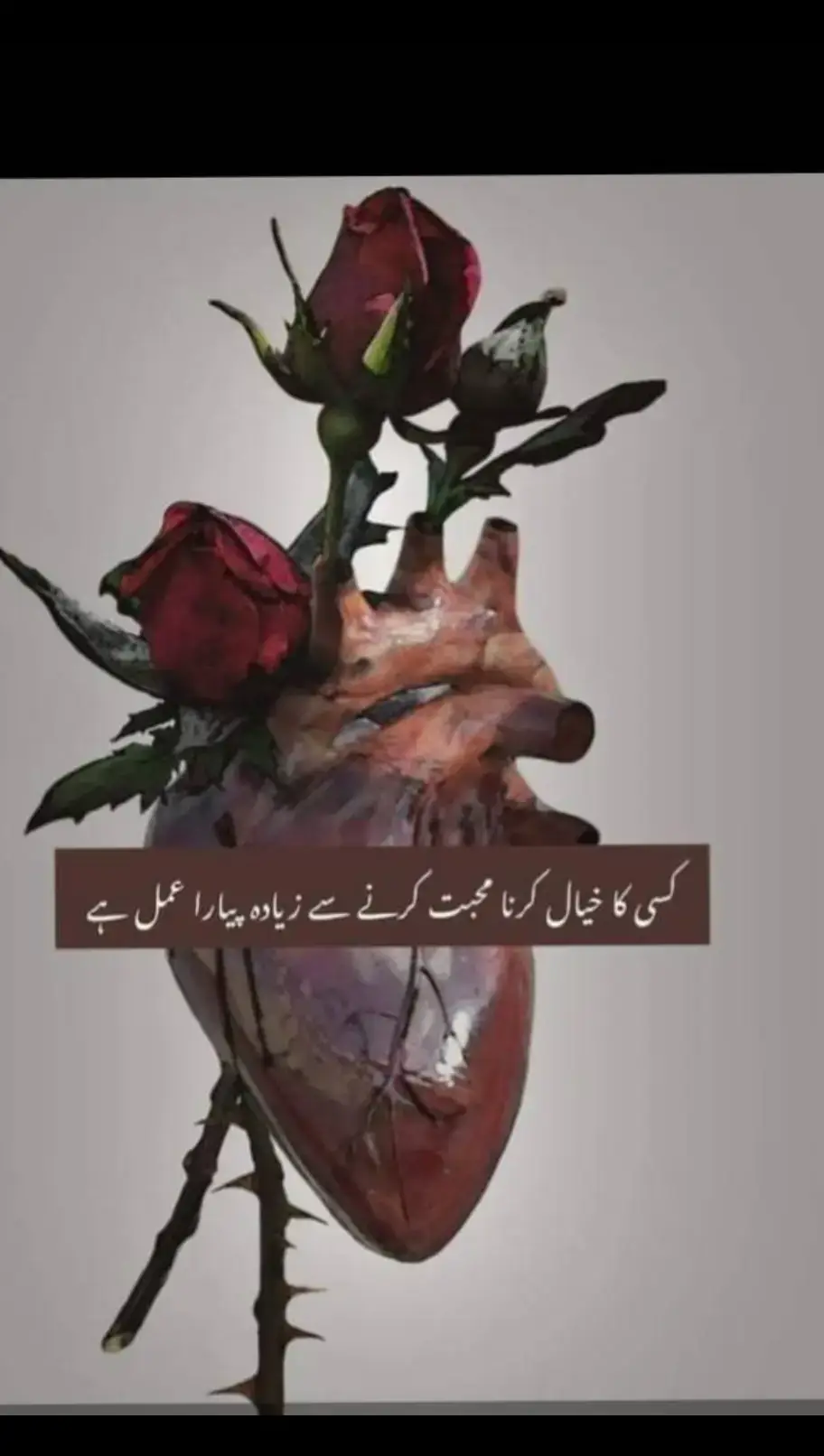 🥲True line✨ #محبت کا دعویدار تو ہر کوئی بنتا ہے لیکن جو آپ کی عزت کرے ، پرواہ کرے ، آپ کا خیال رکھے ، کم از کم آپ کے آنسوؤں کی وجہ نہ بنے وہی شخص محبت کا اصل اور حقیقی دعویدار  ہے 🫰🏻❤️ #itsjaweria🦋 #postres #comant #writethelyrics #fyppppppppppppppppppppppp #fypyouuuuuuuuuuuuuuuuuuu #tiktokviral #tiktokviral #commentspositive❤️ #foryoupage #viwe #fypシ 