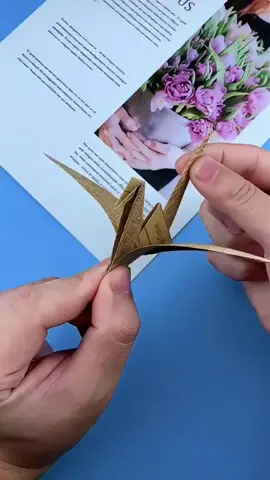 #origamitutorial #origami #origamichallenge #origamipaper #origamitiktok #origamiart #origamistars #paperplane 