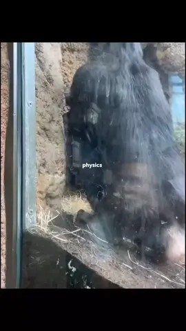 Physics is Unbelievable 🤩 #foryou #viral #physics 