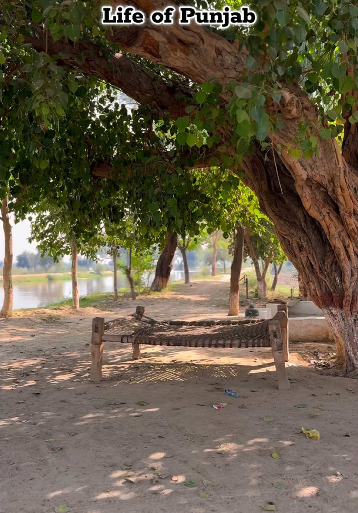 Life of Punjab #villagelife #javedkhaliq #punjab #sanjhapunjab #village #پنجاب #جاویدخالق #پنڈاں_والے 