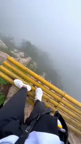 Never Climb On This Mountain  No animals were harmed