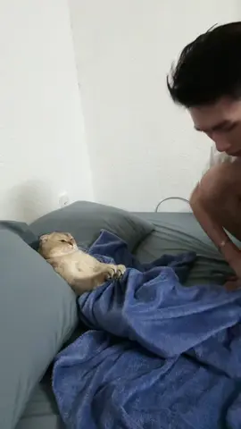 Peter vượt cạn thành công, chúc mừng mẹ tròn con mèo