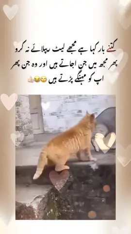 🙄🙄😂#deartiktokteamdontunderviewmyvideos #deartiktokteamdontunderviewmyvideos😓 #plzunfrezemyaccount #share 