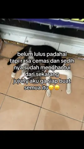 kalian bikin kenangan sblm lulus  #crush 