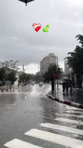 Annaba tezyan ki tsob echta ❤️‍🔥🍃🍁🌧️ #annaba #annaba23 #bona #fyp #fypp #algeria #rain #beach #sea #rainy #dz #dzpower #algeria #algeria #guelma #arab 