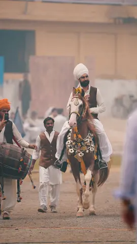 HusneMardan  #foryou #fyp #foryoupage #fypシ #trending #viral #viralvideotiktok #horsesoftiktok #nawabridingclub #horses #nawabzadaabbaskhanhoti #trend #nawabofmardan 