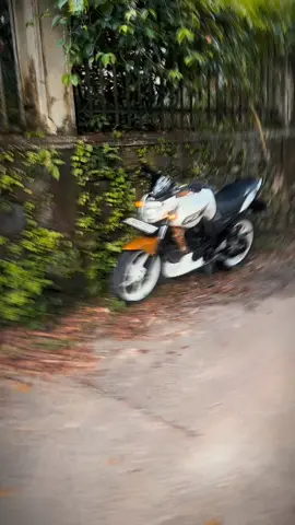 Prettiest 🤍💐 #fyp #foryou #repost #viral #xybca #xy #trendingvideo #onemillionaudition #trending #trend #foryourpage #bikelover #fz150 #bcf1511 