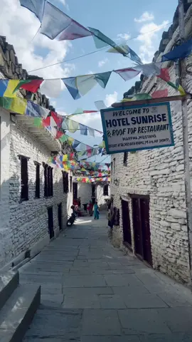 Marpha, Mustang #foryou #fyp 