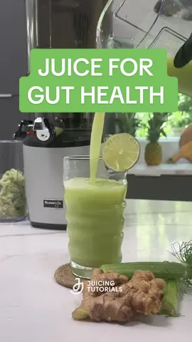 🌿 Heal Your Gut, Support Digestion, and Tackle Leaky Gut Naturally with this refreshing green juice. It is packed with ingredients that support digestion and repair your gut: 🍏 Granny Smith Apple – to aid digestion. 💚Lime – to strengthen your gut lining. 🌱 Fennel Bulb – to ease bloating and support a healthy digestive system. 🌿 Celery – to reduce inflammation. ✨ Ginger –for calming your digestive system and healing leaky gut. Made effortlessly with the Kuvings Auto 10 Juicer – quick prep, smooth juicing, and easy cleanup make healthy habits so simple! 💚 #digestion #digestivehealth #guthealth #leakygut #gut #guthealthmatters #guttok #health #EasyRecipe #juicingforhealth #juicingtutorials 