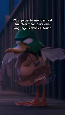 Mood 🫂 #Migration #SkyShowtime 