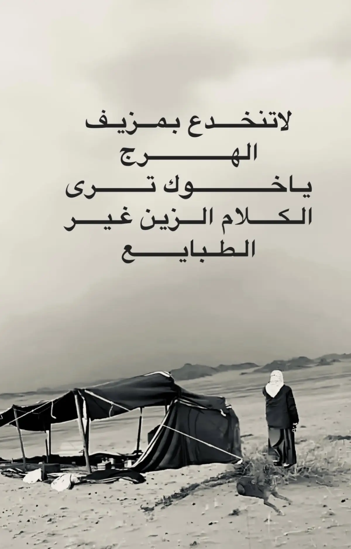 #اكسبلور 
