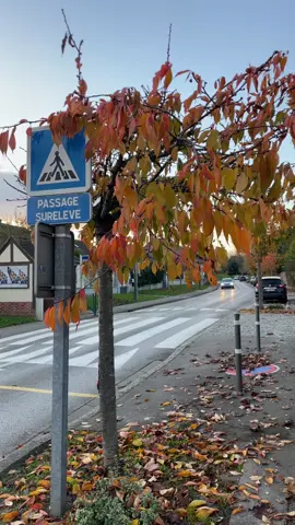 France 🇫🇷#imrankhanvlogs 