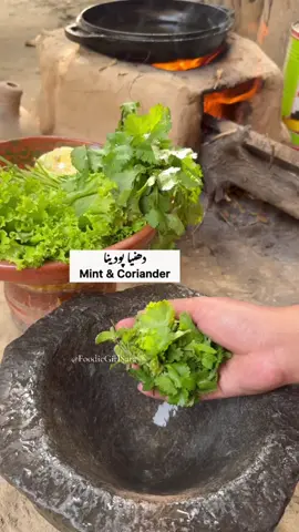 Green Chutney For Fish …… #cooking #Recipe  #recipes #foryoupage❤️❤️ #fypシ゚viral #outdoorcooking #fry #foryo #TikTokFood #chutney #Food #chicken #foryoupage❤️❤️ #outdoorcooking 