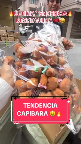 INICIAMOS NUESTRA PRE-VENTA DE GANCHITOS CAPIBARA‼️🔥✨  Esta semana recibimos nuestro primer stock de ganchitos capibara: los más pedidos y virales de todo internet! 😍  📦La caja trae 3,000 piezas con mas de 20 modelos hermosos! ✈️La fecha de llegada es del 15 al 18 de Noviembre, no falta nada‼️🤩 📲SOLICITA MÁS INFORMACIÓN CON NUESTRAS ASESORAS 👇🏻 📲Aliyah: 900 173 361  📲Katy: 900 968 261  📲Jazmin: 957 297 840 📲Esther: 930 377 671  📍Visitanos en: Jr. Lino Cornejo 210. (Tercer piso). Cercado de Lima. Referencia: Paralela a la estación Colmena del Metropolitano. Te esperamos 🤩 #lima #tendencia #viraliza #vira #capibara #negocios #emprendedor #emprendedora #ganchocapibara #mercadocentral #china🇨🇳 #bolivia🇧🇴 #mercadocentral 