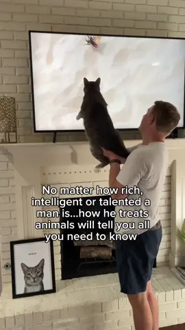 actually willing to choose a cat dad over a bear. well this one at least! 😬 #cats #catdad #catsoftiktok #catowner 