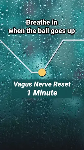 Vagus Nerve Reset - 1 Minute Breathing Exercise Practice breathing exercises anytime with my app Pocket Breath Coach (link in bio) Breathing exercises can activate the vagus nerve, which helps calm the body and reduce stress. Slow, deep breaths trigger the parasympathetic nervous system, lowering heart rate and promoting relaxation. This effect can be measured through Heart Rate Variability (HRV). When the vagus nerve is stimulated, HRV increases. For busy people, this simple breathing pattern offers a quick way to relax and feel more balanced. Most deep breathing exercise can stimulate the vagus nerve, but I came across 2 studies where the 4-4-6-2 pattern produced measurable vagus nerve stimulation. - inhale 4 seconds - hold 4 seconds - exhale 6 seconds - hold 2 seconds Try it out and let me know what you think! References: Vagal Mediation of Low-Frequency Heart Rate Variability During Slow Yogic Breathing https://pubmed.ncbi.nlm.nih.gov/29771730/ Sudarshan Kriya yogic breathing in the treatment of stress, anxiety, and depression https://www.researchgate.net/publication/7984597_Sudarshan_Kriya_Yogic_Breathing_in_the_Treatment_of_Stress_Anxiety_and_Depression_Part_I-Neurophysiologic_Model
