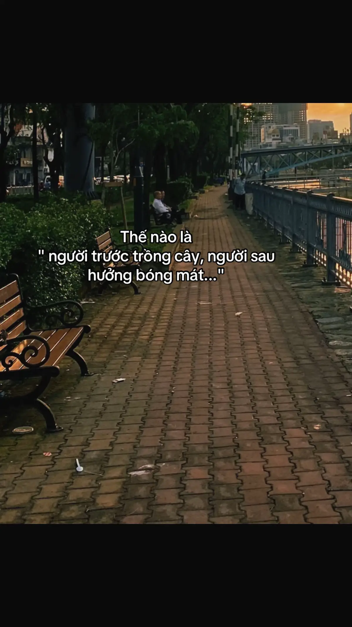 Vô tình đọc được cmt của bạn này thật sự rất giống câu chuyện của mình. Đúng thật là nhìn họ đối xử với người sau như cái cách mình đã từng ao ước nó đau đến cỡ nào chứ!!! Chẳng lẽ mình không đáng nhận được sự đối đãi nthe sao? Mình cũng đã yêu hết lòng trao hết sự tử tế, chân thành cho ngta mà, sao lại như thế... #TikTokAwardsVN #tamtrang #17thg04_23 #xuhuongtiktok #xuhuong #suy #tinhyeu #tamtrangbuon 