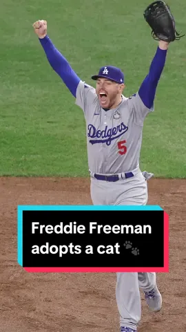 Freddie Freeman has just added another member to his family, an adorable cat named Champ 🐾 #nbcla #Dodgers #FreddieFreeman #cat #pets 