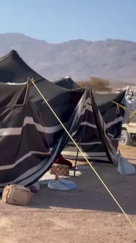 #نسيتي_يوم_كنا_جهال #من_قبل_تلبسين_الشال #تبوك #نصائح #شعر #هجيني #رفيحي #ريحاني  #بيت_الشعر #الشتاء#ترند #ترند_تيك_توك #بدوي #البر 