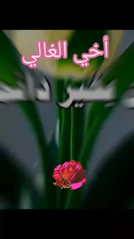 #اخي #الغالي #اكسبلور #حفظكم_الله_ورعاكم #المغرب #المغرب #المغرب #المغرب #مساء_الحب_والسعاده #المغرب #المغرب #المغرب 