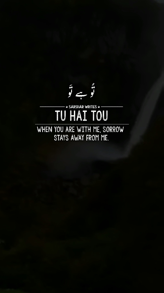 Tou Hai Tou Dil Dharakta Hai #lyricsvideo #foryoupage #urdupoetry 