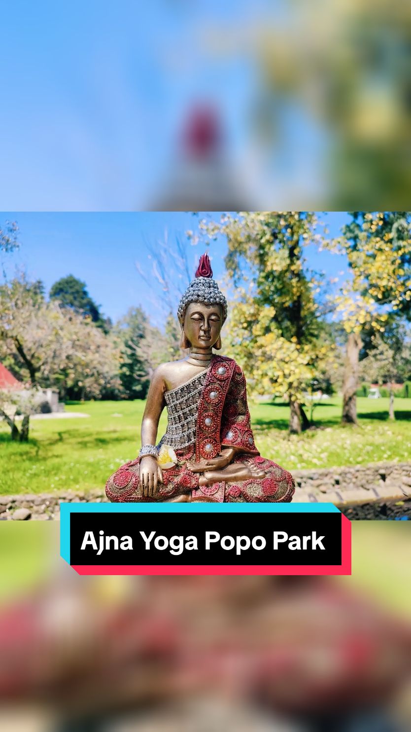 ¿Conoces la delicia de practicar yoga en jardín o pirámide? #ajnayogapopopark en #hotelcampestreeden  #yogaenjardin #yogadesdecero #yogalove #popopark #delicias #atlautla #amecameca #amecamecadejuárez #ozumba #ozumbadealzate #tepetlixpa #tlalmanalco #tenangodelaire #hotelcampestreeden #yogaenpiramide #yogui #zonavolcanes #zonaiztapopo #yogafan #yogaparatusalud #yogaparatodos #yogaparaprincipiantes #yogaparaelalma #yoga #yogaparatumente #yoguiszonavolcanes #yogaporlatarde #yogaporlamañana #yogasabatico 