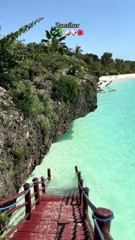 Zanzibar 🇹🇿🤍 #zanzibar #afrika #tanzania #travel #safari #dolphins #zanzibarbeach #honeymoon #ocean #africa