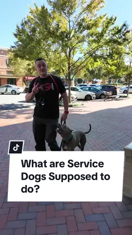 Too many people think a vest makes a service dog. But a real service dog has two main jobs: perform a specific, medically necessary task and stay under total control of its handler—no excuses. It’s not just about wearing a vest; it’s about making life easier, not harder. You’ve seen dogs in public places acting like clowns, but those dogs don’t cut it as service animals. A real service dog knows to stay calm, focused, and obedient, no matter the situation. If you want to learn how to take your dog from Zero to Hero... Check out our $37 Course 