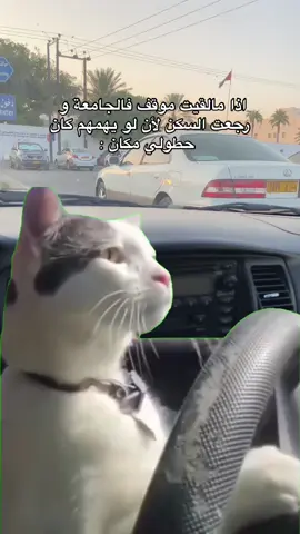 😞😞😂🏃‍♂️ . . . #الشعب_الصيني_ماله_حل😂😂 #الشعب_الصيني_ماله_حل #new #tiktokviral 