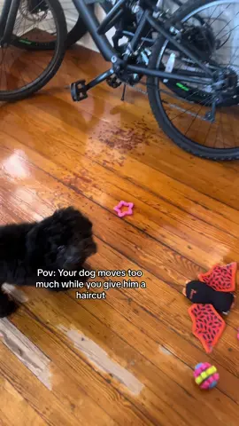 ik he prays for my demise daily. #greenscreenvideo #greenscreen #capcut #dogs #dogsoftiktok 