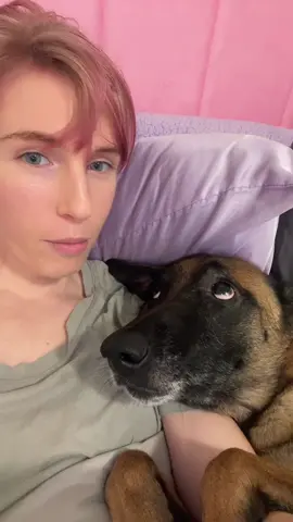 did anyone else’s malinois start mellowing out around their 7th birthday? he’s just less hyperactive these days #dogsoftiktok #dogs #malinois #malinoisoftiktok #dogmom 