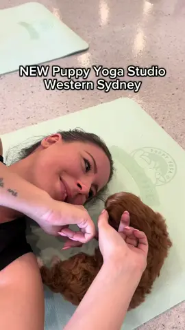 🐾🧘‍♀️ When puppy cuddles meet zen vibes!  Huge thanks to @Clare @foodenthusiast.sydney for capturing the cutest moments at our new puppy yoga session! 🐶💖 Tag a friend who needs a little paws-itivity today! #PuppyYoga #PawsAndPoses #FeelGoodFitness #sydney 
