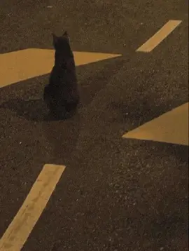 satu peluang#slowedsongs #slowedandreverb #satupeluang #lirikgalau #fypageシ #fypシ゚viral #fypシ゚viral🖤tiktok #galaubrutal 