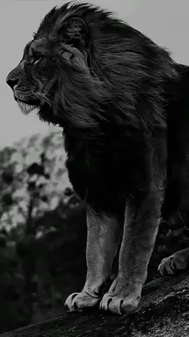 Motivational quotes| Motivational speech | Close the door to the past  #motivation #dailymotivation #motivationalvideo #motivationalquotes #motivationalspeech 