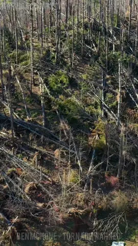 Watauga County, NC - Extreme Deforestation - Drone #hurricanehelene #aftermath #weather #storm #stormy #hurricane #helene #Drone #flooding #tree #damage #wnc #wncmountains #appalachia #appalachianmountains #appalachian #wataugacountync #watauga 